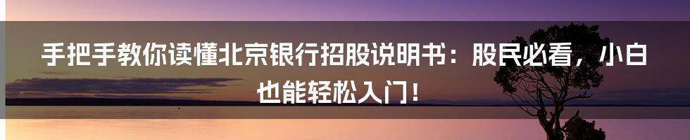 手把手教你读懂北京银行招股说明书:股民必看,小白也能轻松入门!