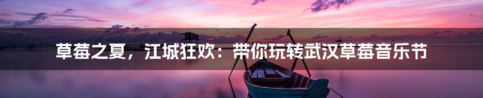 草莓之夏,江城狂欢:带你玩转武汉草莓音乐节