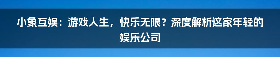 小象互娱：游戏人生，快乐无限？深度解析这家年轻的娱乐公司