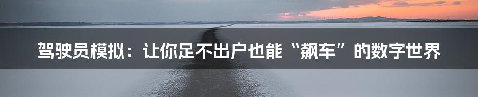 驾驶员模拟：让你足不出户也能“飙车”的数字世界