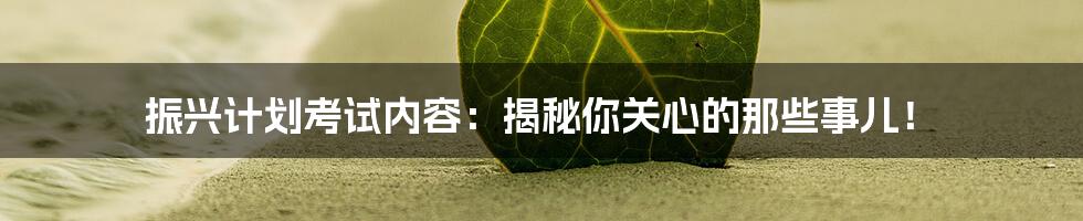 振兴计划考试内容:揭秘你关心的那些事儿!