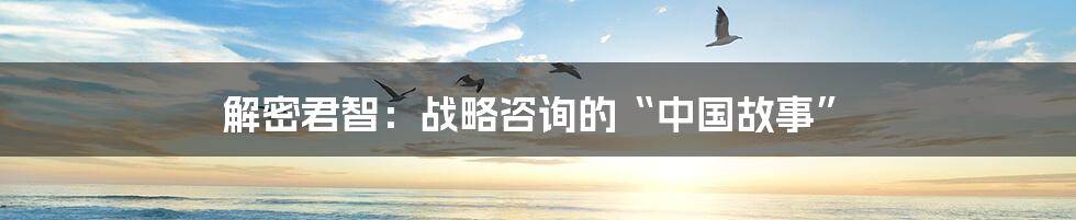 解密君智:战略咨询的“中国故事”