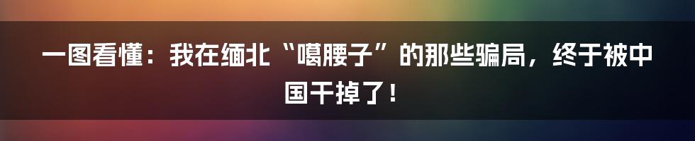 一图看懂:我在缅北“噶腰子”的那些骗局,终于被中国干掉了!