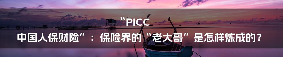 “PICC 中国人保财险”:保险界的“老大哥”是怎样炼成的?
