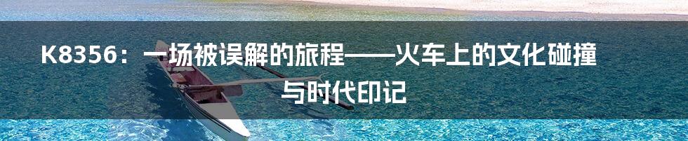 K8356:一场被误解的旅程——火车上的文化碰撞与时代印记