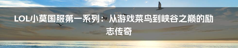 LOL小莫国服第一系列:从游戏菜鸟到峡谷之巅的励志传奇