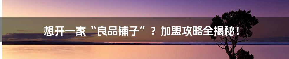 想开一家“良品铺子”？加盟攻略全揭秘！