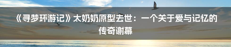 《寻梦环游记》太奶奶原型去世：一个关于爱与记忆的传奇谢幕