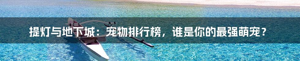 提灯与地下城：宠物排行榜，谁是你的最强萌宠？