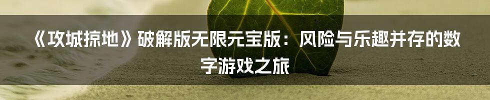 《攻城掠地》破解版无限元宝版：风险与乐趣并存的数字游戏之旅