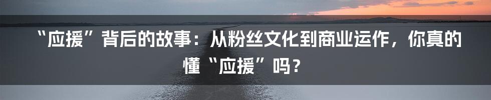 “应援”背后的故事：从粉丝文化到商业运作，你真的懂“应援”吗？