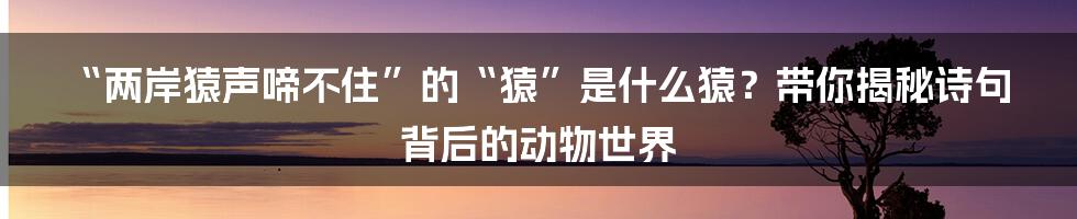 “两岸猿声啼不住”的“猿”是什么猿？带你揭秘诗句背后的动物世界