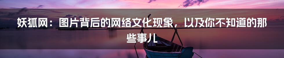 妖狐网：图片背后的网络文化现象，以及你不知道的那些事儿