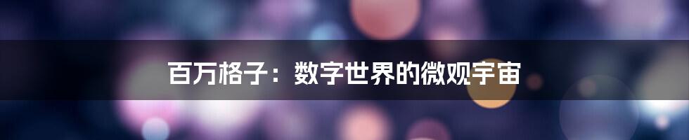 百万格子：数字世界的微观宇宙