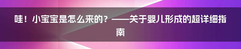 哇!小宝宝是怎么来的?——关于婴儿形成的超详细指南