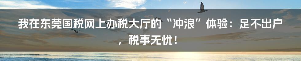 我在东莞国税网上办税大厅的“冲浪”体验：足不出户，税事无忧！