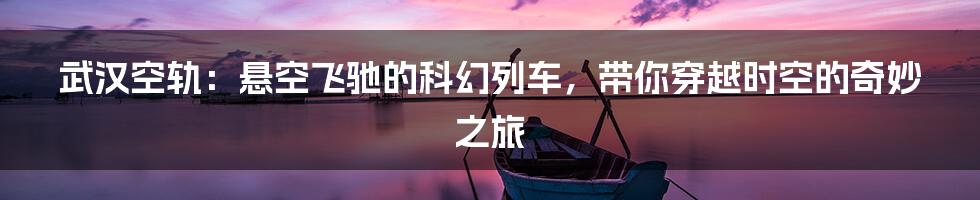 武汉空轨:悬空飞驰的科幻列车,带你穿越时空的奇妙之旅