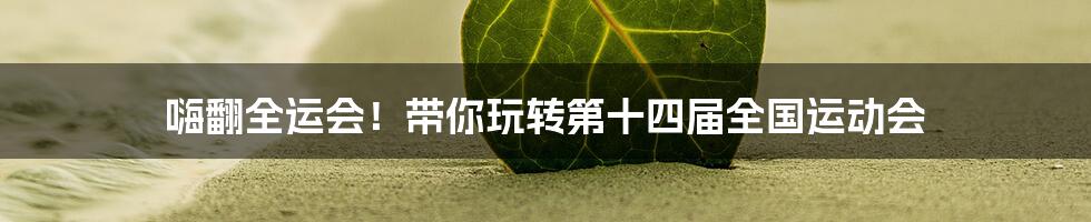 嗨翻全运会!带你玩转第十四届全国运动会