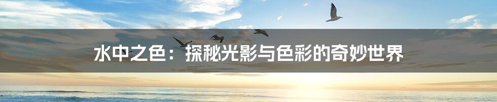 水中之色：探秘光影与色彩的奇妙世界