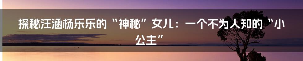 探秘汪涵杨乐乐的“神秘”女儿：一个不为人知的“小公主”