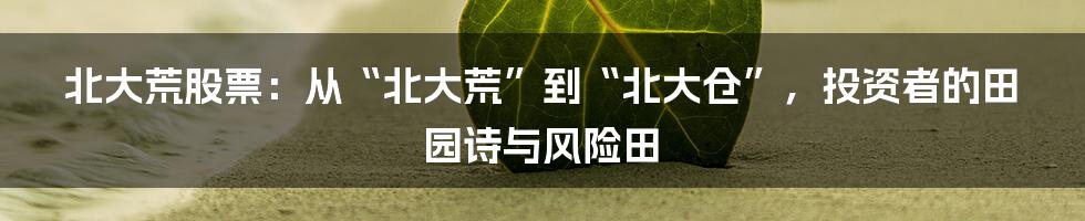 北大荒股票:从“北大荒”到“北大仓”,投资者的田园诗与风险田