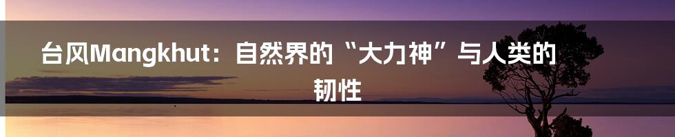 台风Mangkhut：自然界的“大力神”与人类的韧性