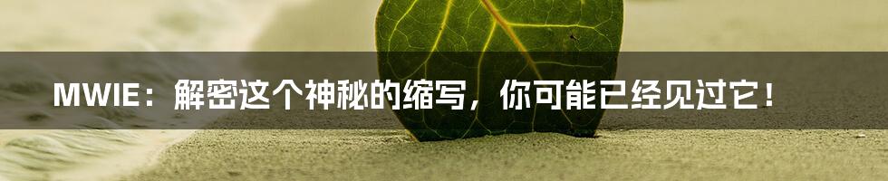 MWIE:解密这个神秘的缩写,你可能已经见过它!