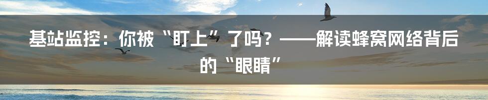 基站监控:你被“盯上”了吗?——解读蜂窝网络背后的“眼睛”