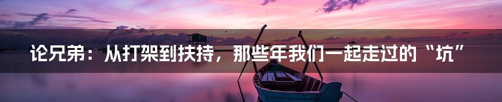 论兄弟：从打架到扶持，那些年我们一起走过的“坑”