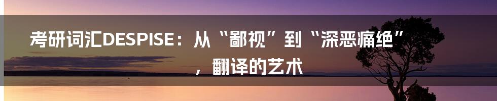 考研词汇DESPISE：从“鄙视”到“深恶痛绝”，翻译的艺术