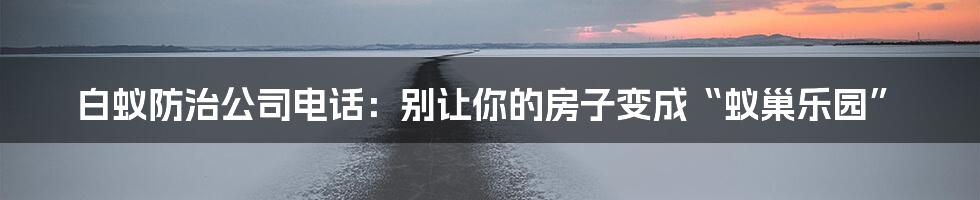 白蚁防治公司电话:别让你的房子变成“蚁巢乐园”