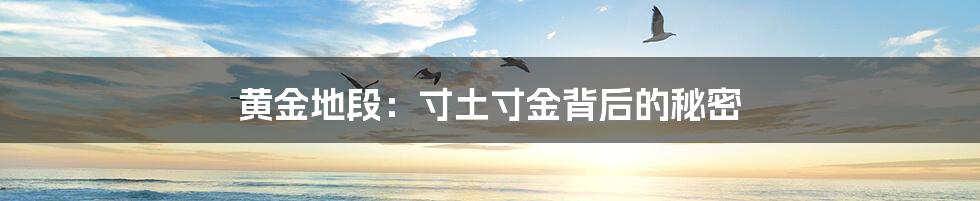 黄金地段：寸土寸金背后的秘密