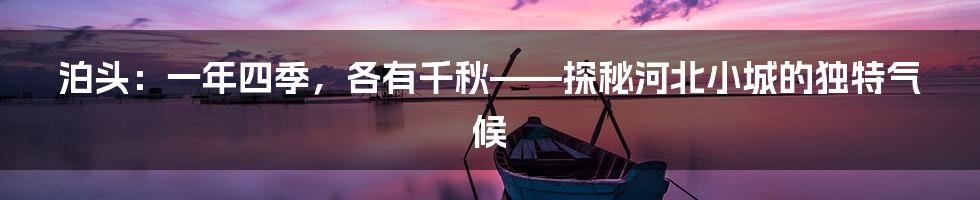 泊头：一年四季，各有千秋——探秘河北小城的独特气候