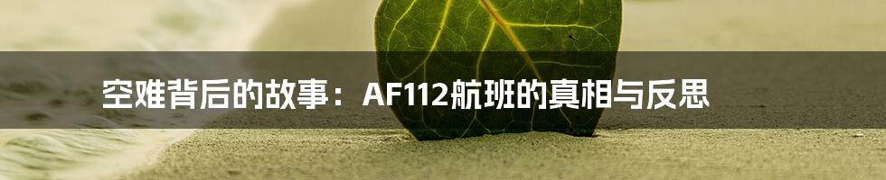 空难背后的故事:AF112航班的真相与反思