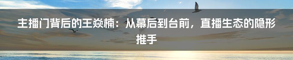 主播门背后的王焱楠：从幕后到台前，直播生态的隐形推手