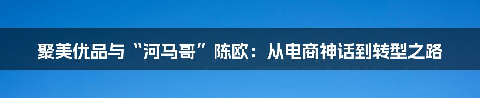 聚美优品与“河马哥”陈欧：从电商神话到转型之路
