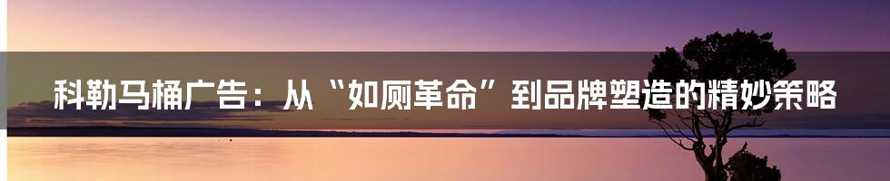 科勒马桶广告：从“如厕革命”到品牌塑造的精妙策略