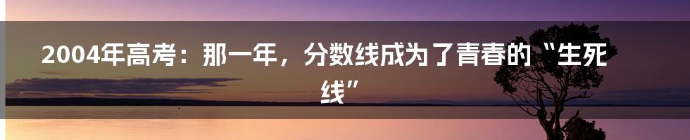 2004年高考:那一年,分数线成为了青春的“生死线”