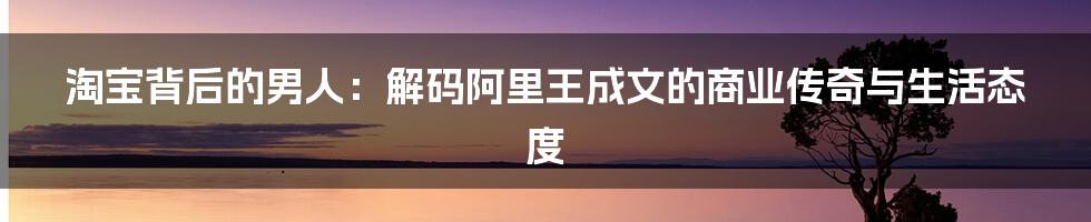 淘宝背后的男人:解码阿里王成文的商业传奇与生活态度