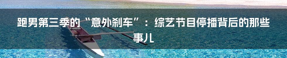 跑男第三季的“意外刹车”：综艺节目停播背后的那些事儿