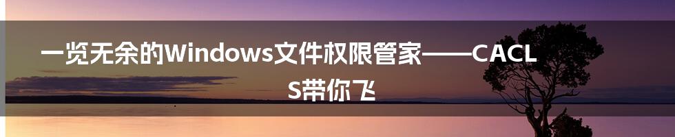 一览无余的Windows文件权限管家——CACLS带你飞