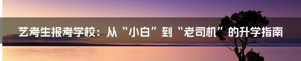 艺考生报考学校：从“小白”到“老司机”的升学指南