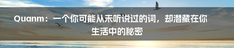 Quanm:一个你可能从未听说过的词,却潜藏在你生活中的秘密