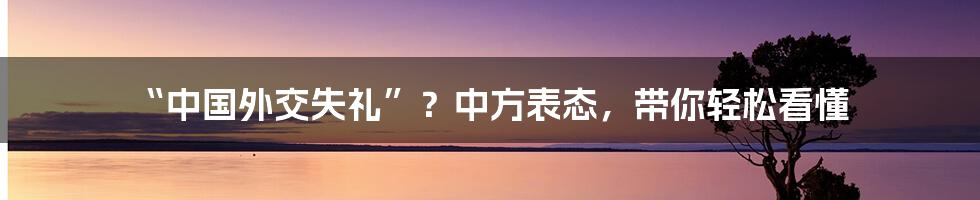 “中国外交失礼”?中方表态,带你轻松看懂