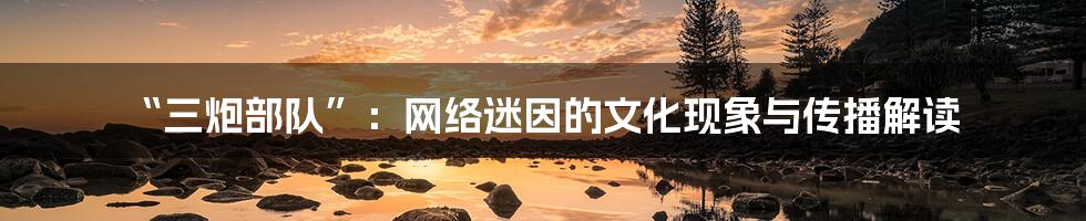 “三炮部队”：网络迷因的文化现象与传播解读