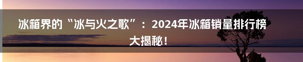 冰箱界的“冰与火之歌”：2024年冰箱销量排行榜大揭秘！