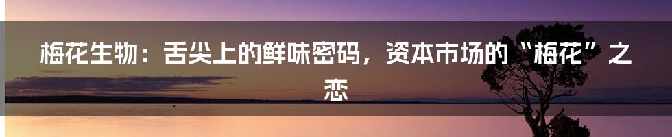 梅花生物:舌尖上的鲜味密码,资本市场的“梅花”之恋