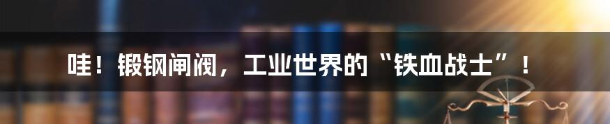 哇!锻钢闸阀,工业世界的“铁血战士”!