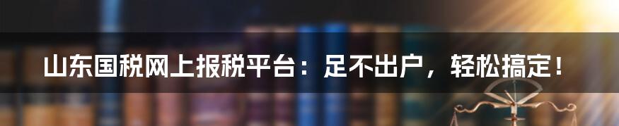 山东国税网上报税平台:足不出户,轻松搞定!