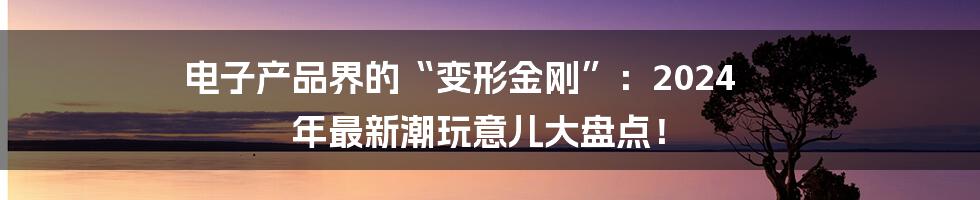 电子产品界的“变形金刚”：2024 年最新潮玩意儿大盘点！